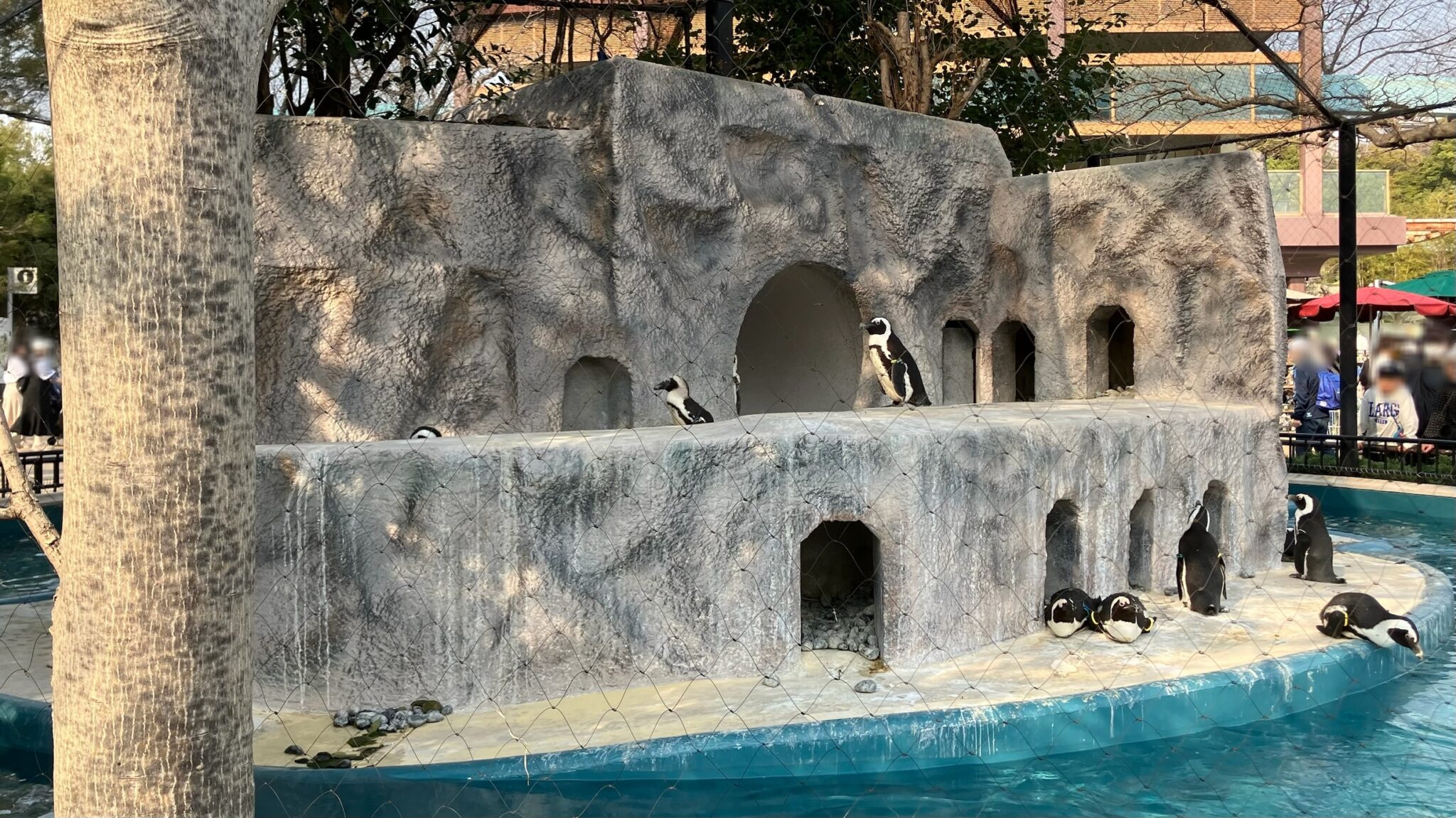 【赤ちゃん連れ外出】おすすめスポット＊上野動物園 | 親かめブログ